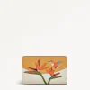 Bird Of Paradise